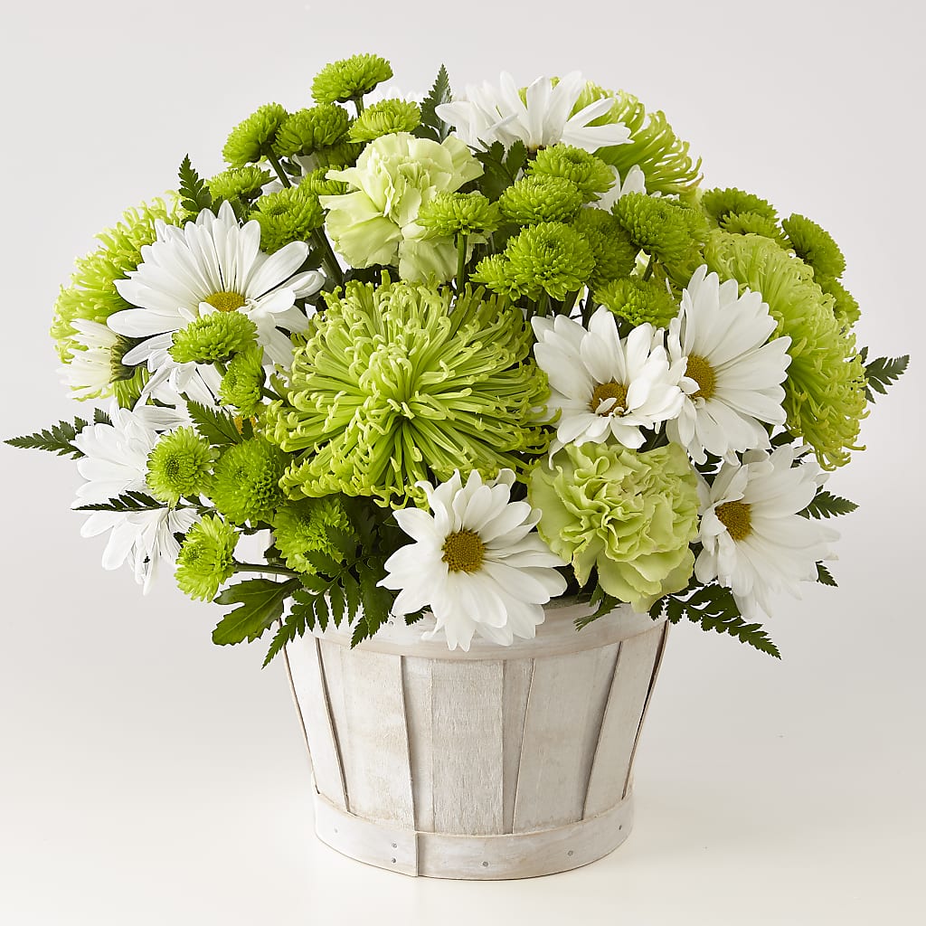 Lucky Charm Basket (Standard) – Daily Bloom, San Antonio TX