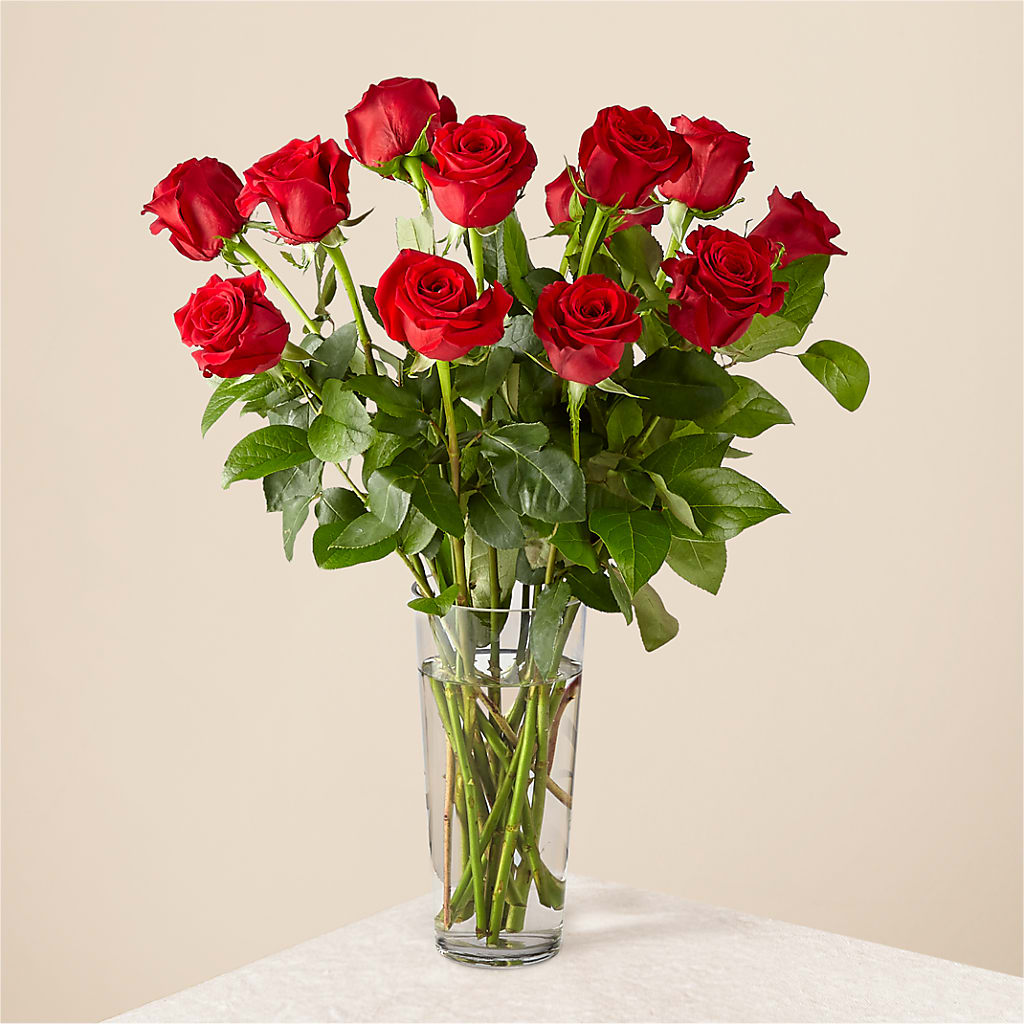 Long Stem Red Rose Bouquet – Daily Bloom, San Antonio TX