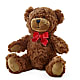 Adorable Plush Bear – Daily Bloom, San Antonio TX
