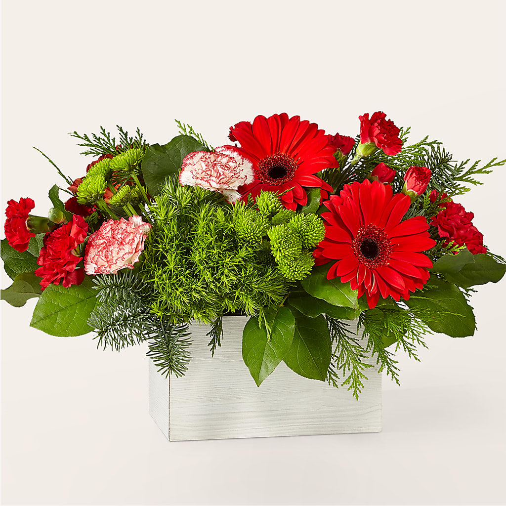 The Rudolph Bouquet – Daily Bloom, San Antonio TX