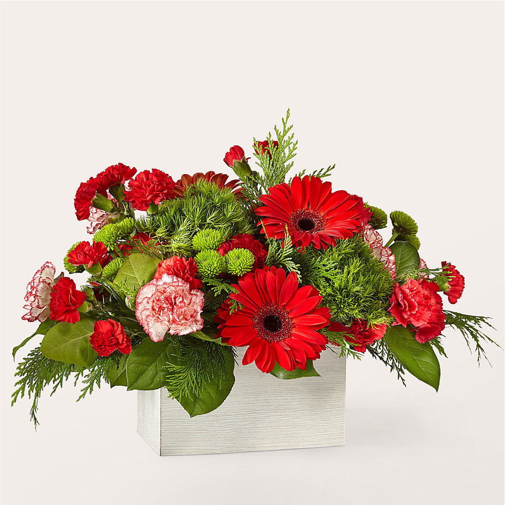 The Rudolph Bouquet – Daily Bloom, San Antonio TX