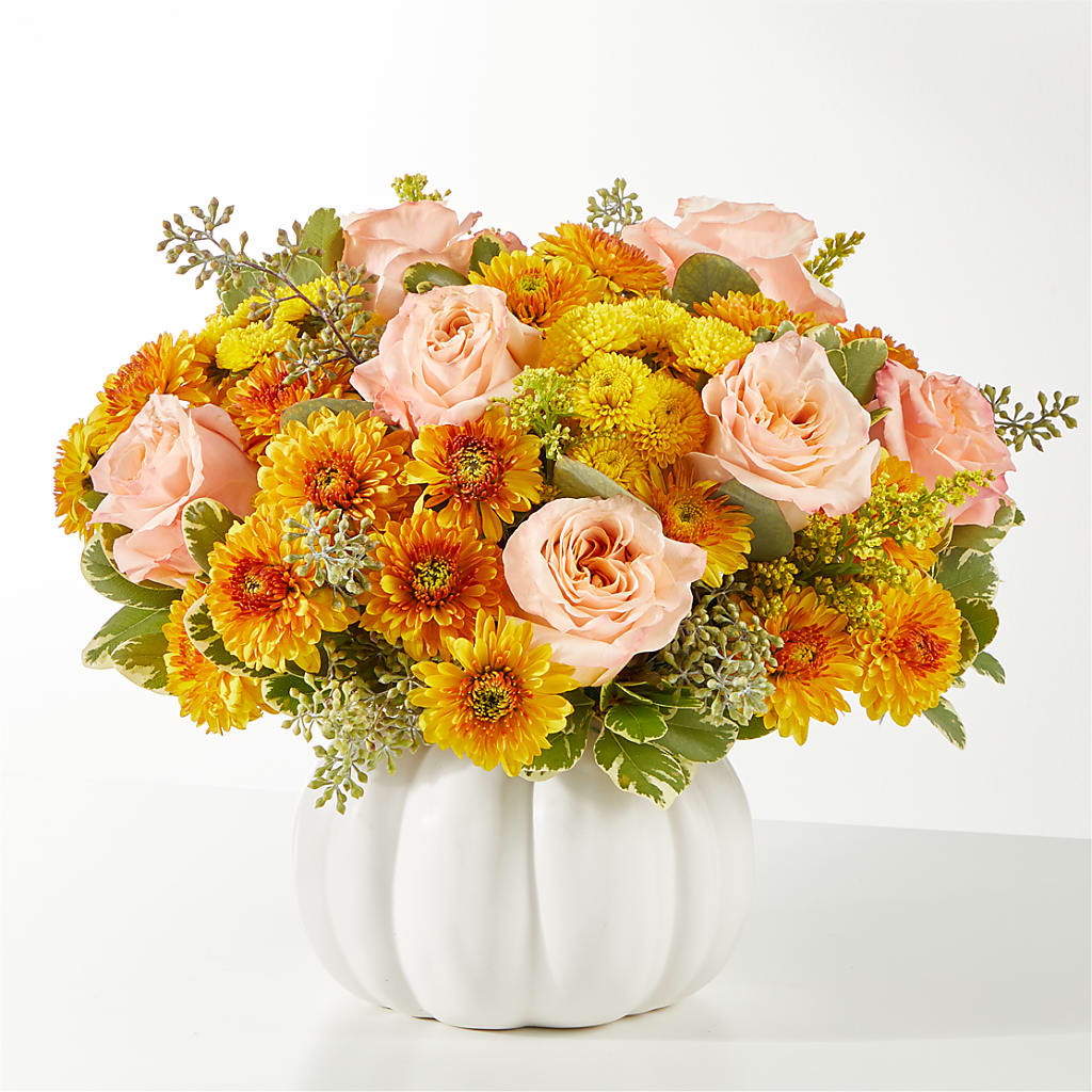 Peachy Pumpkin – Daily Bloom, San Antonio TX