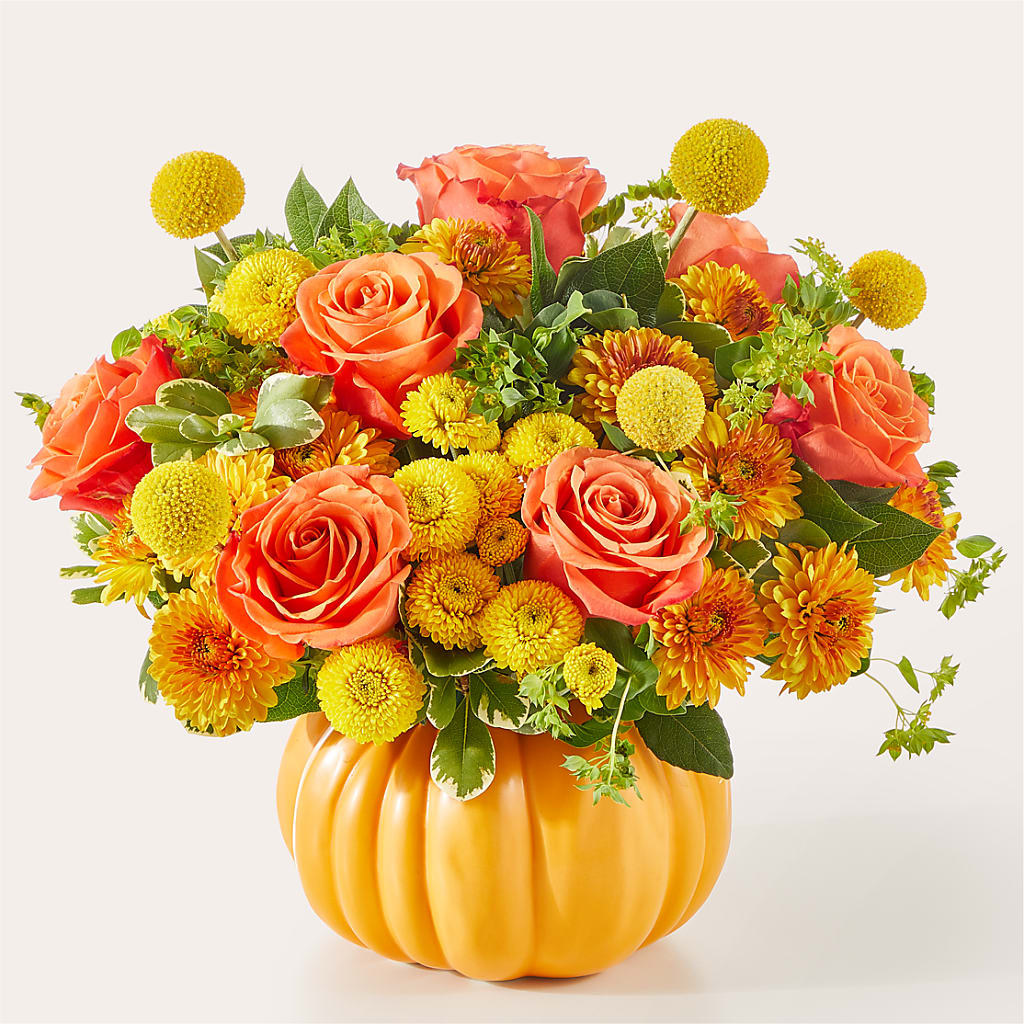 Gourdgeous Pumpkin – Daily Bloom, San Antonio TX