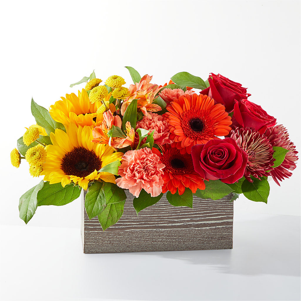 Autumn Orchard Bouquet – Daily Bloom, San Antonio TX