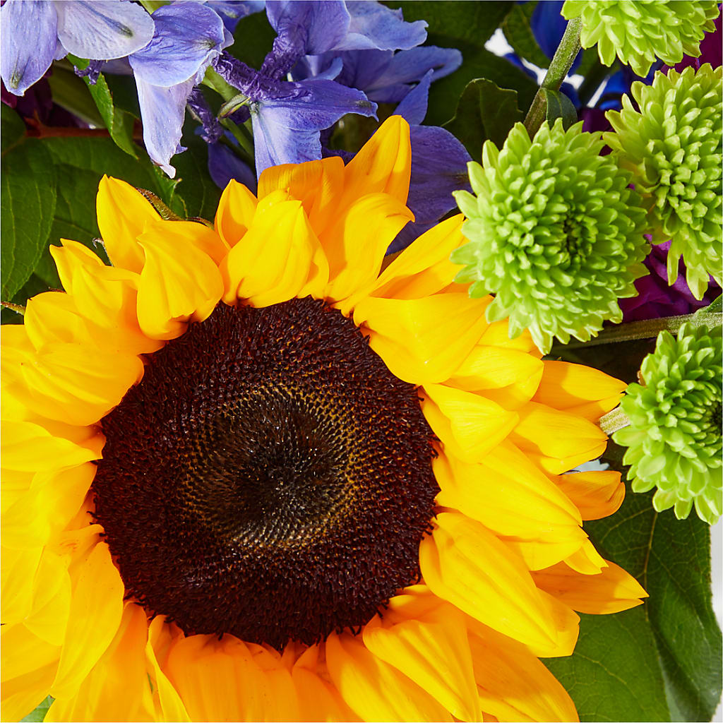 Catching Rays Bouquet – Daily Bloom, San Antonio TX