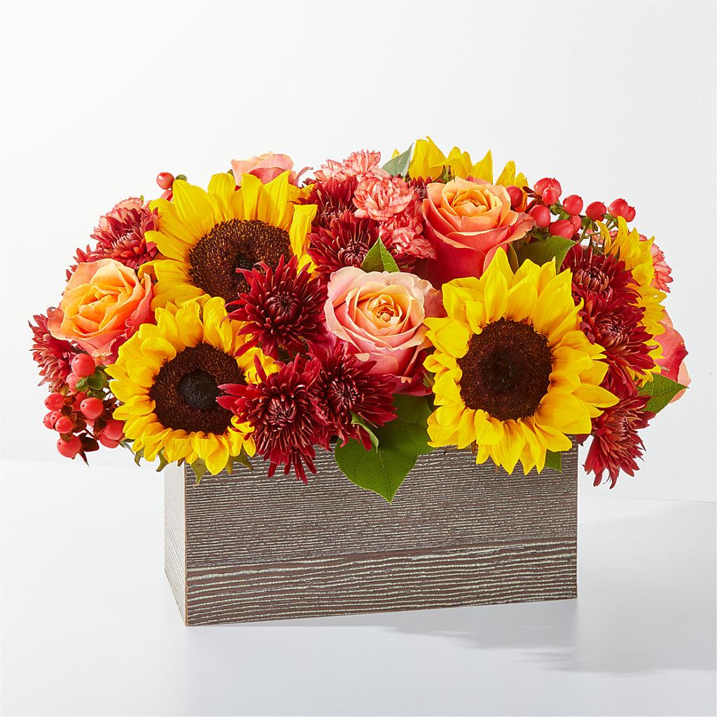 Fresh Cider Bouquet – Daily Bloom, San Antonio TX