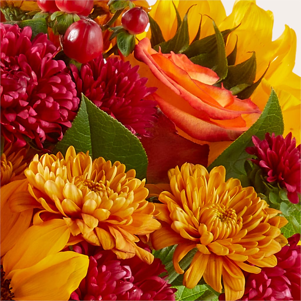 Sweater Season - A Florist Original – Daily Bloom, San Antonio TX