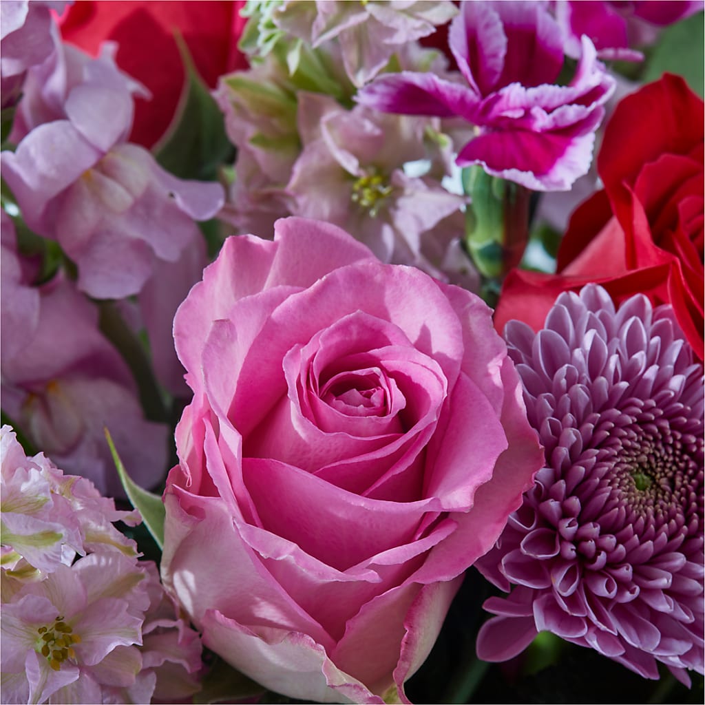 Better Together - A Luxury Florist Original – Daily Bloom, San Antonio TX