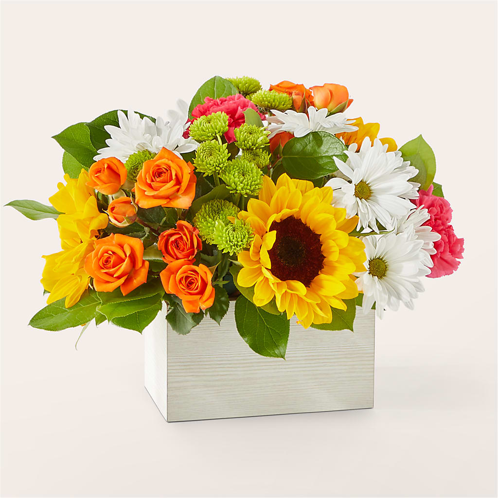 Sun-drenched Blooms Box Bouquet – Daily Bloom, San Antonio TX