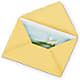 Greeting Card – Daily Bloom, San Antonio TX