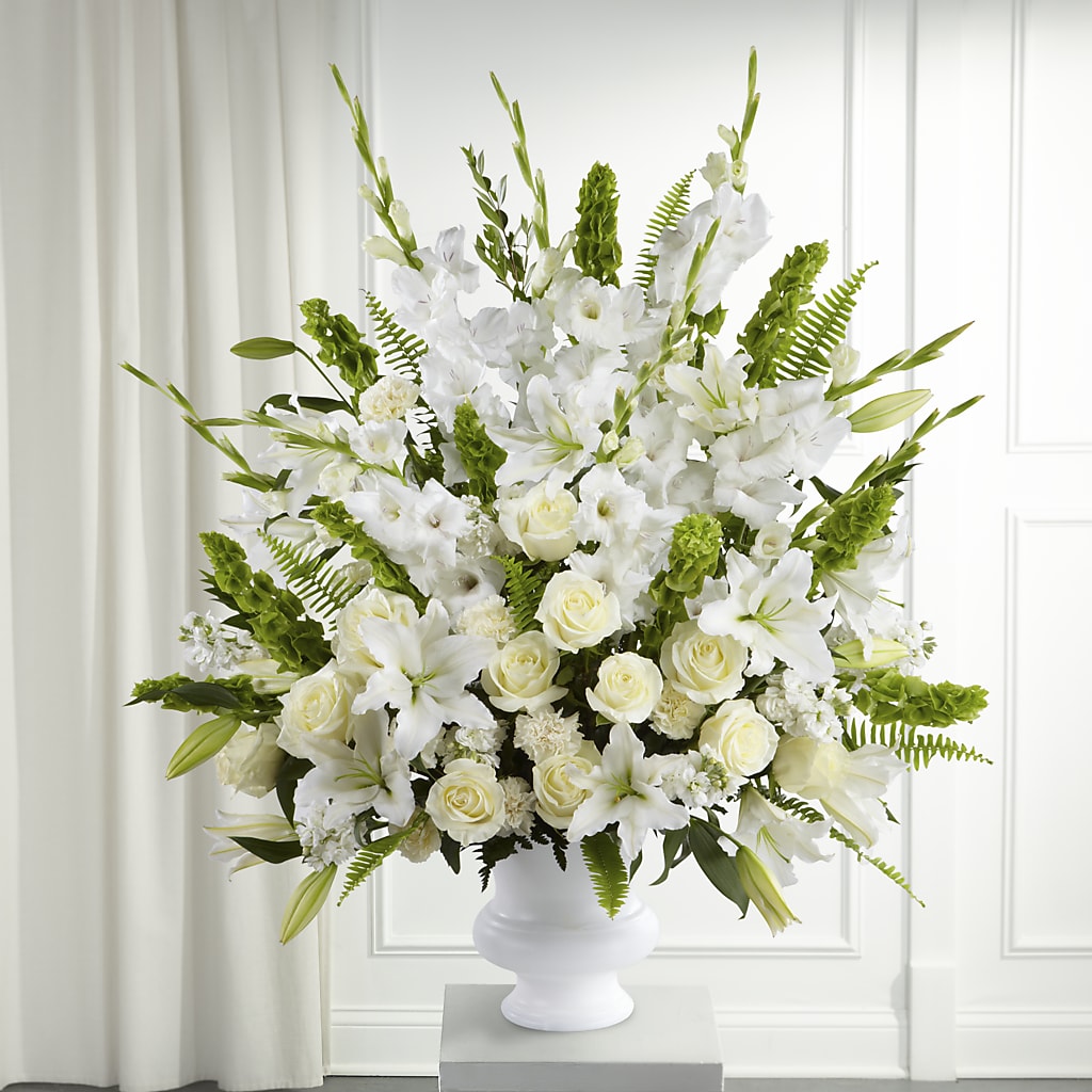 Morning Stars Arrangement – Daily Bloom, San Antonio TX