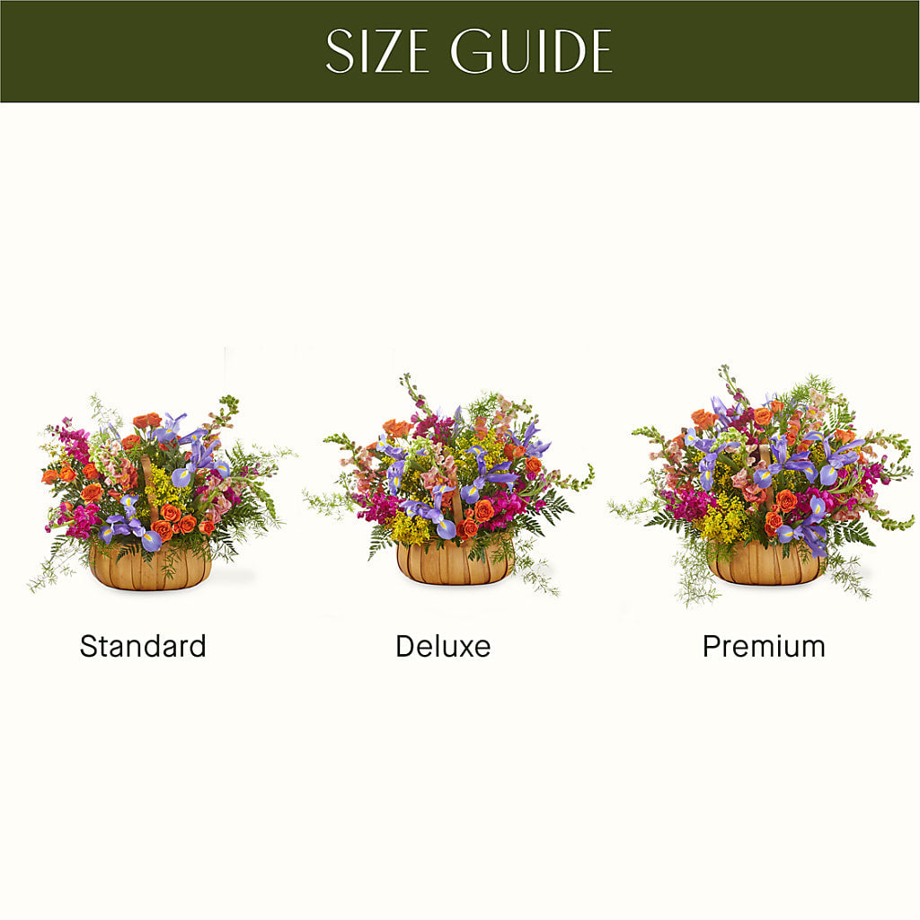 Garden of Life Basket – Daily Bloom, San Antonio TX