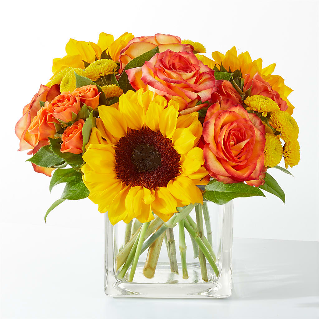 Picnic in the Park Bouquet – Daily Bloom, San Antonio TX