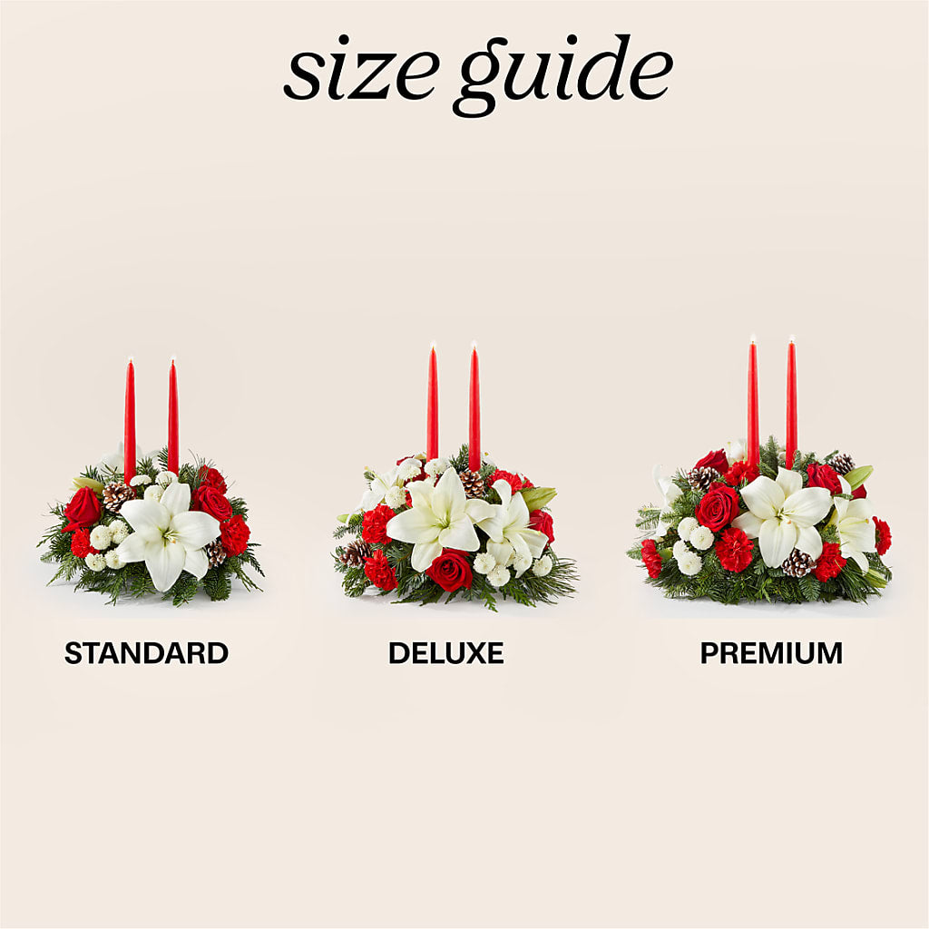 Seasonal Festivities Centerpiece – Daily Bloom, San Antonio TX