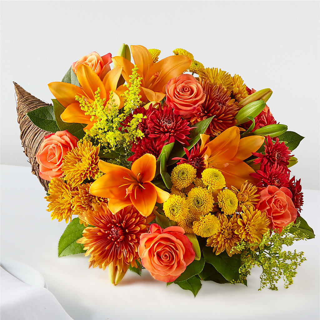 Feast of Color Cornucopia – Daily Bloom, San Antonio TX