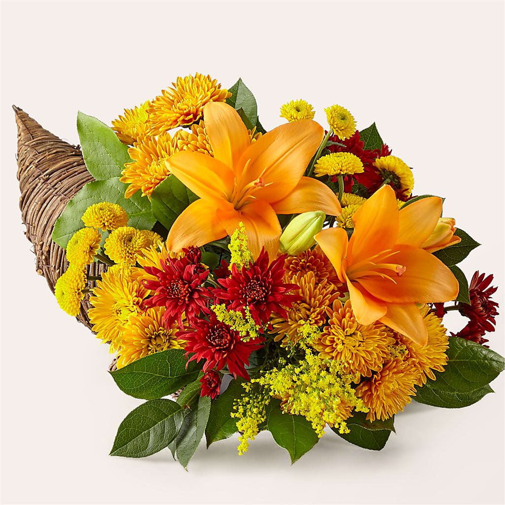 Feast of Color Cornucopia – Daily Bloom, San Antonio TX