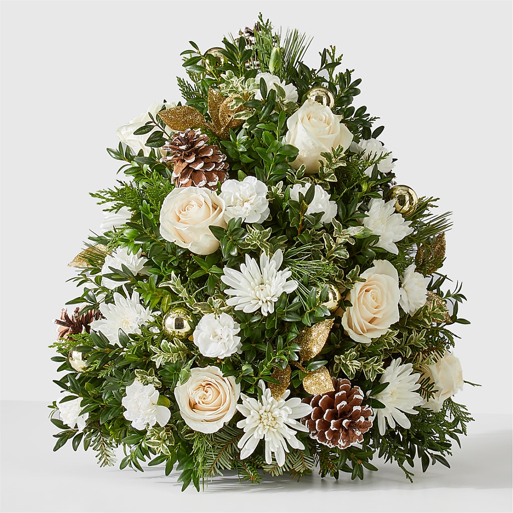 Snowed In Tree – Daily Bloom, San Antonio TX