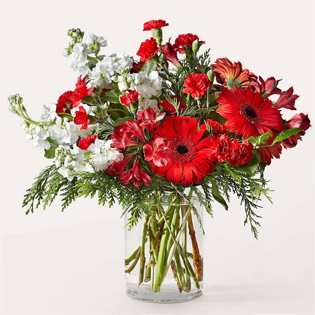 Holidaisy Bouquet – Daily Bloom, San Antonio TX