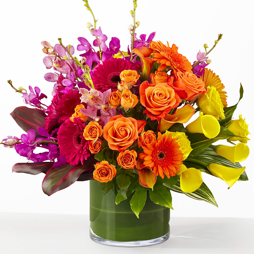 The Mosaic – Daily Bloom, San Antonio TX