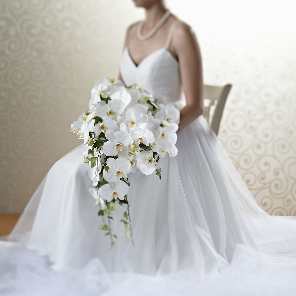 Classic White Bouquet – Daily Bloom, San Antonio TX