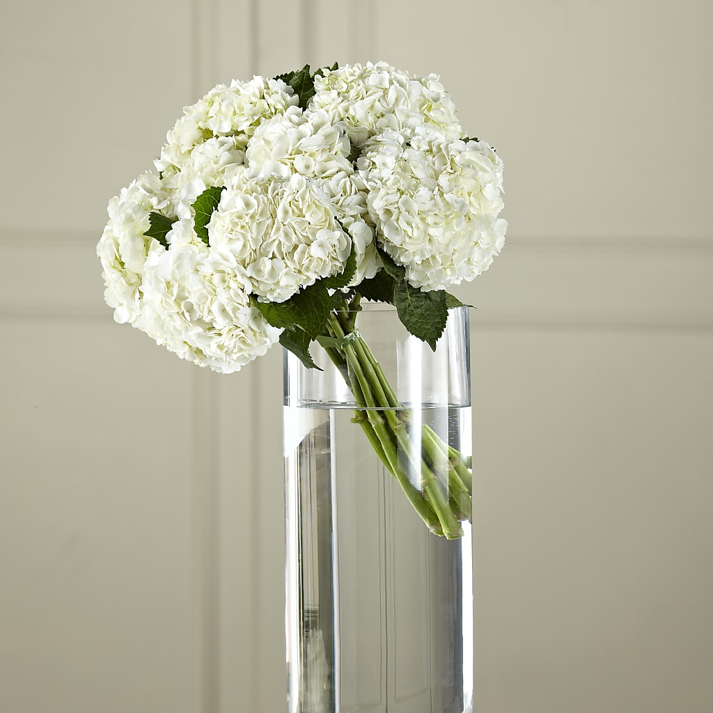 White Hydrangea Hand-Tied Bouquet – Daily Bloom, San Antonio TX