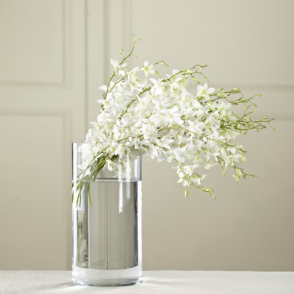 White Dendrobium Bouquet – Daily Bloom, San Antonio TX