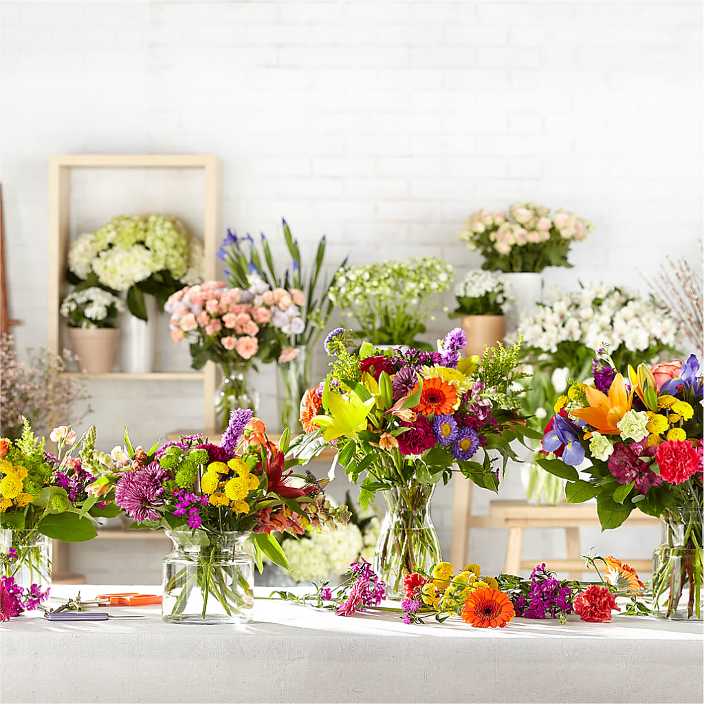 Bold & Bright – A Florist Original –  Daily Bloom, San Antonio TX