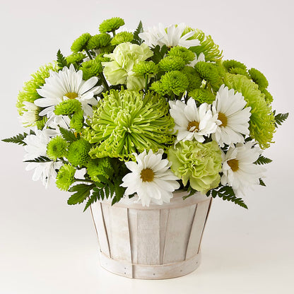 Lucky Charm Basket (Standard) –  Daily Bloom, San Antonio TX