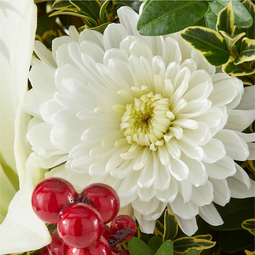 Festive Moments Tree –  Daily Bloom, San Antonio TX