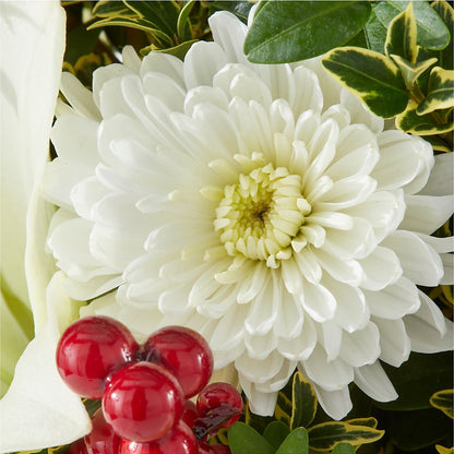Festive Moments Tree –  Daily Bloom, San Antonio TX