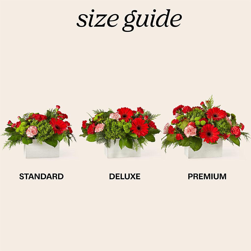 The Rudolph Bouquet –  Daily Bloom, San Antonio TX