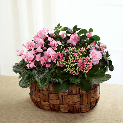 Pink Assortment –  Daily Bloom, San Antonio TX