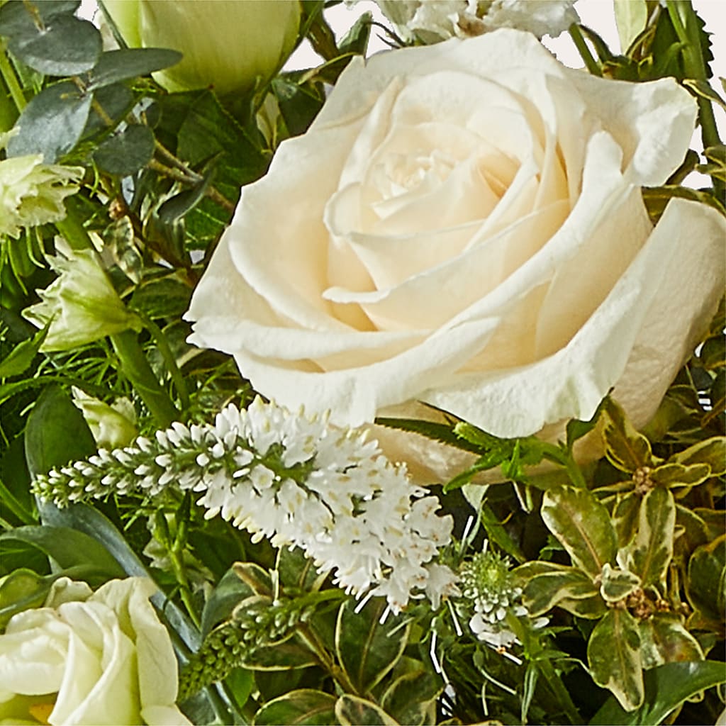 Cashmere Bouquet –  Daily Bloom, San Antonio TX