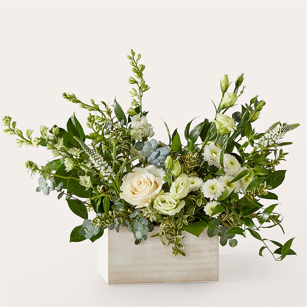Cashmere Bouquet –  Daily Bloom, San Antonio TX