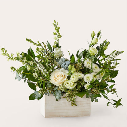 Cashmere Bouquet –  Daily Bloom, San Antonio TX