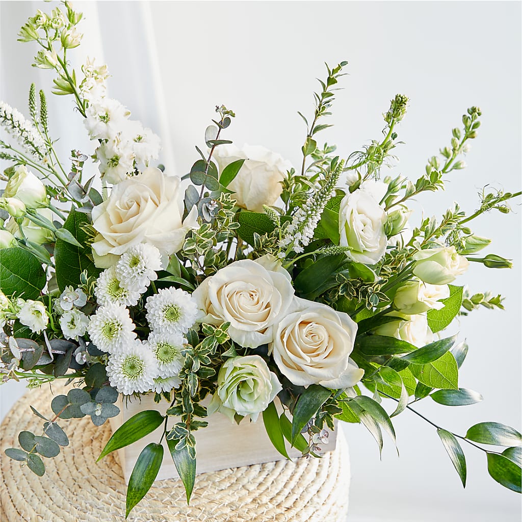 Cashmere Bouquet –  Daily Bloom, San Antonio TX