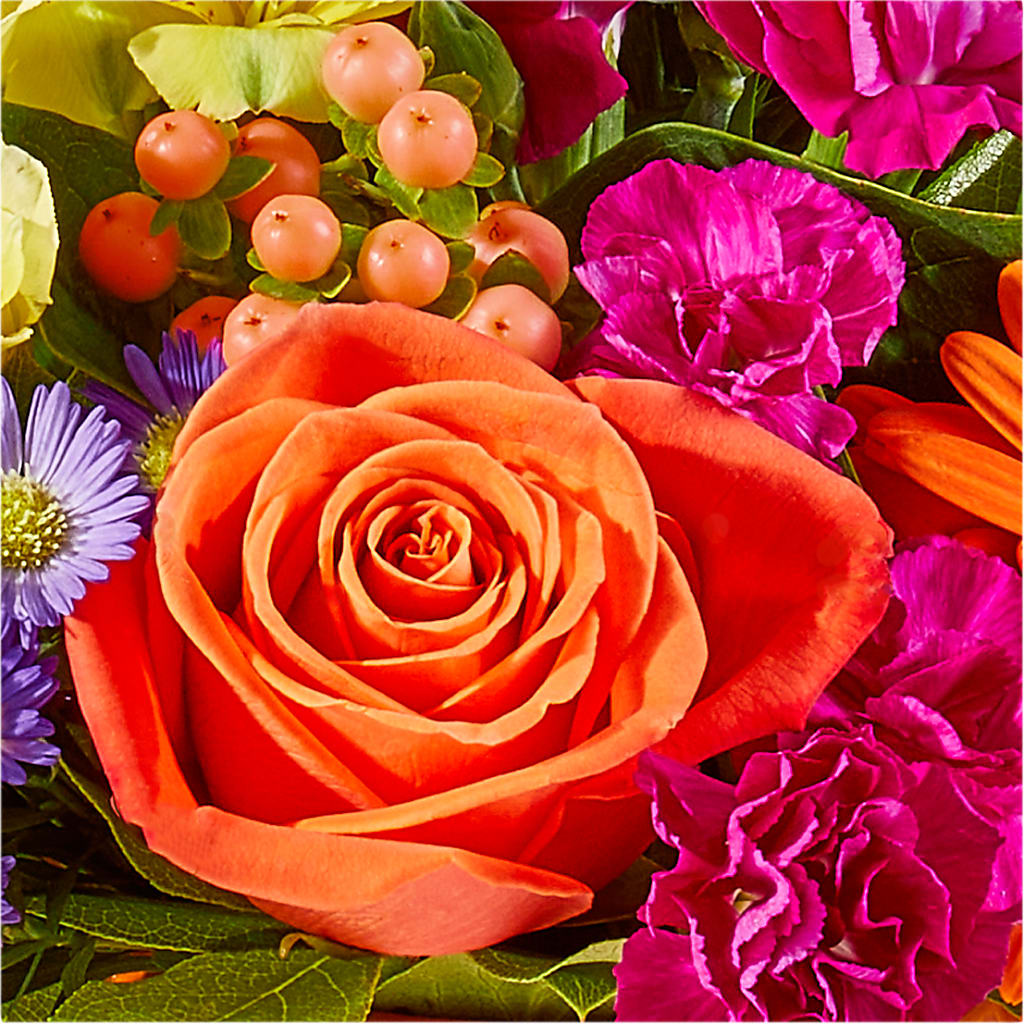 Tricks & Treats Pumpkin –  Daily Bloom, San Antonio TX