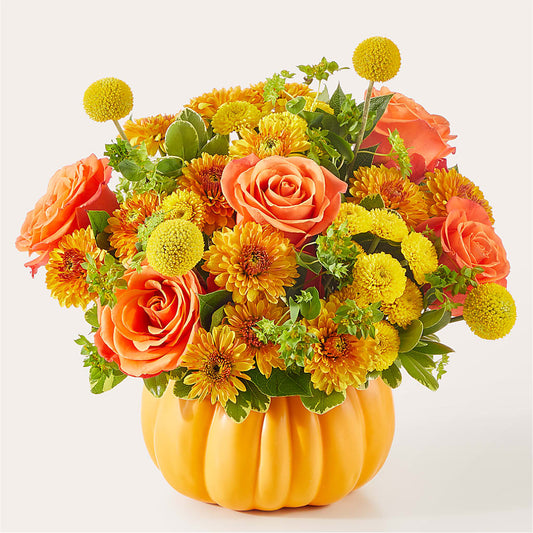 Gourdgeous Pumpkin –  Daily Bloom, San Antonio TX