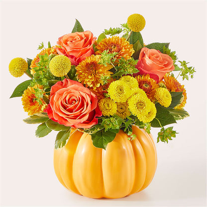 Gourdgeous Pumpkin –  Daily Bloom, San Antonio TX