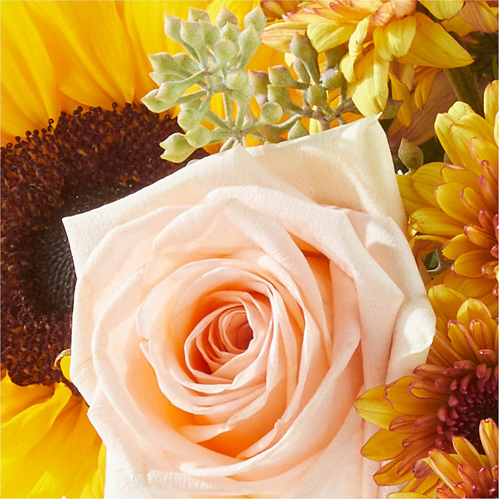 Pumpkin to Talk About Bouquet –  Daily Bloom, San Antonio TX