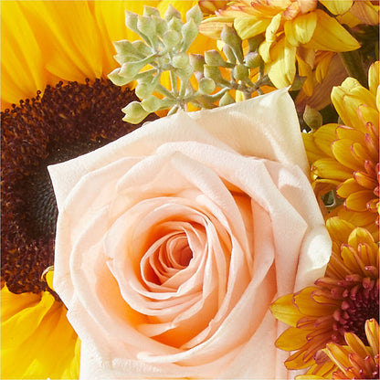 Pumpkin to Talk About Bouquet –  Daily Bloom, San Antonio TX