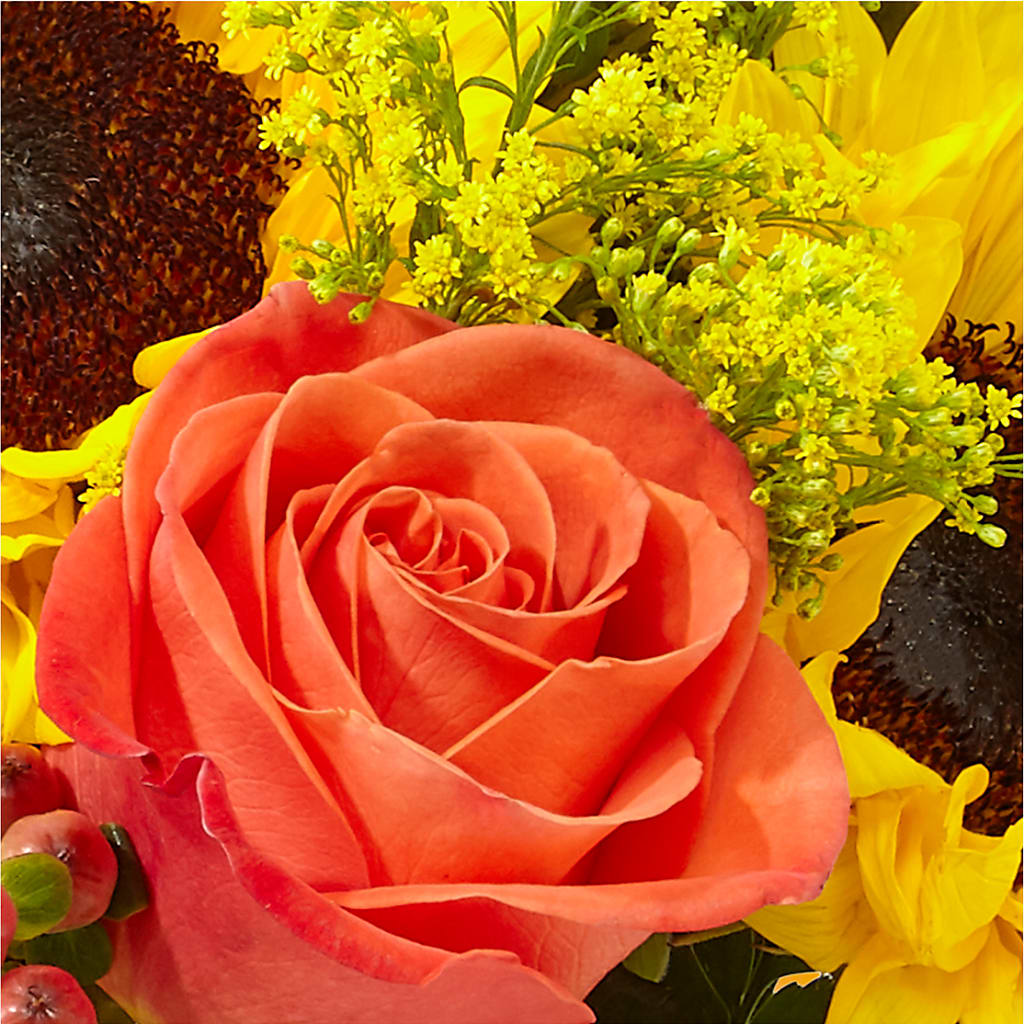 Pick of the Patch Pumpkin Bouquet –  Daily Bloom, San Antonio TX