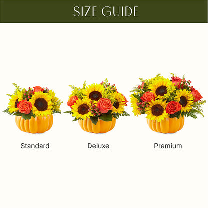 Pick of the Patch Pumpkin Bouquet –  Daily Bloom, San Antonio TX