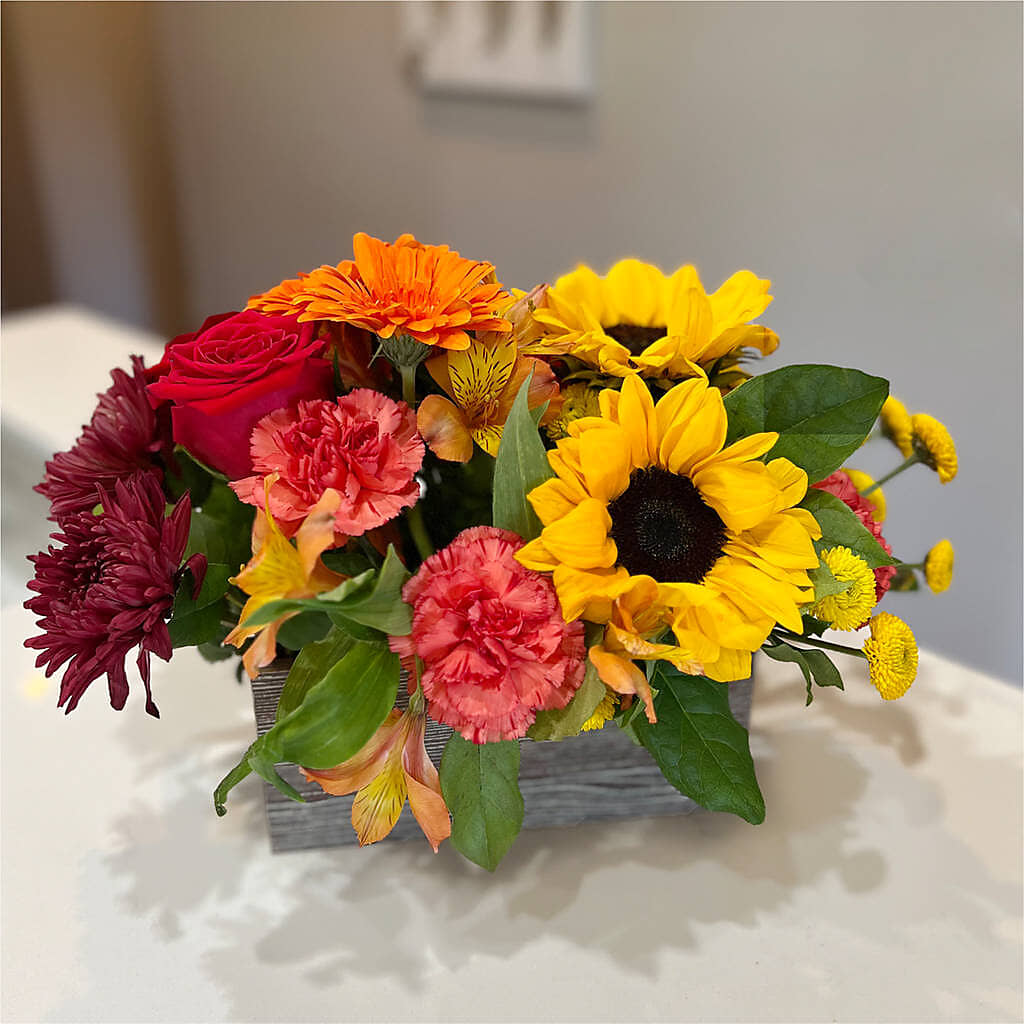 Autumn Orchard Bouquet –  Daily Bloom, San Antonio TX