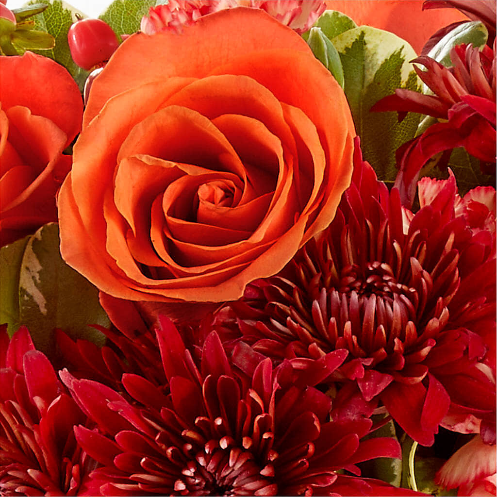 Autumn Air Pumpkin Bouquet –  Daily Bloom, San Antonio TX
