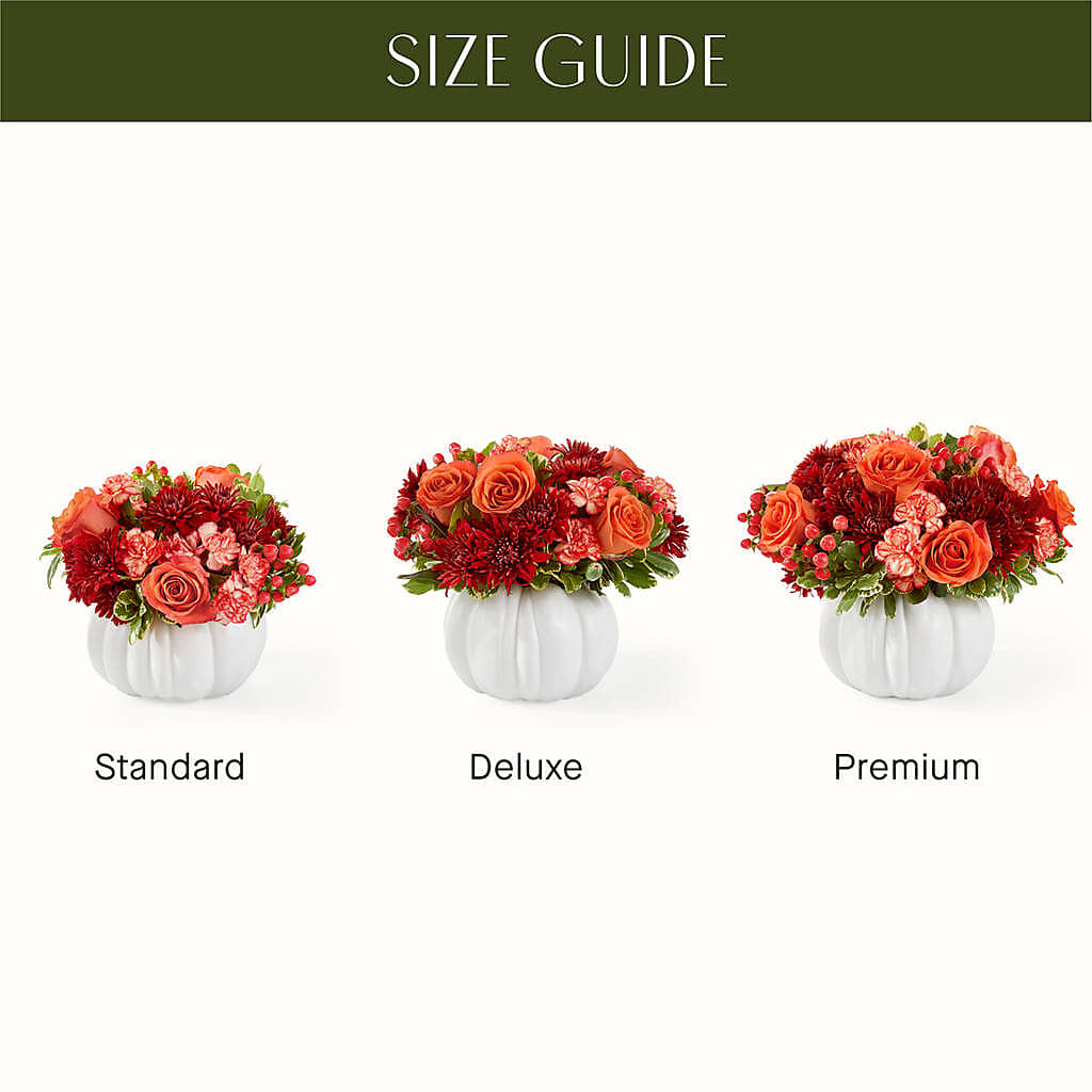 Autumn Air Pumpkin Bouquet –  Daily Bloom, San Antonio TX