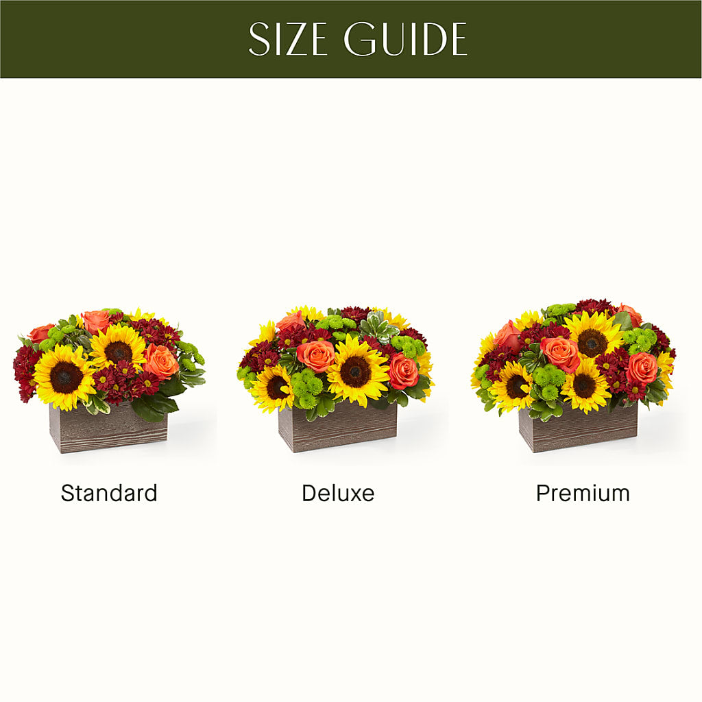 Happy Harvest Garden –  Daily Bloom, San Antonio TX