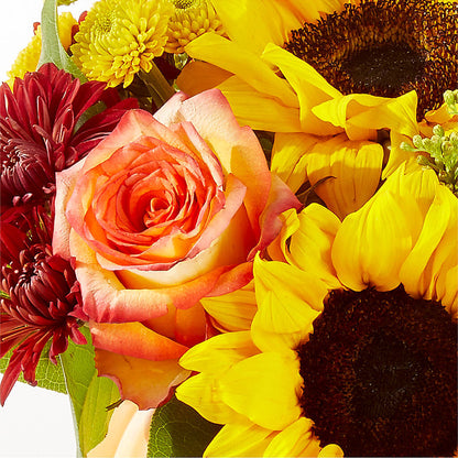 Golden Gourd Pumpkin Bouquet –  Daily Bloom, San Antonio TX