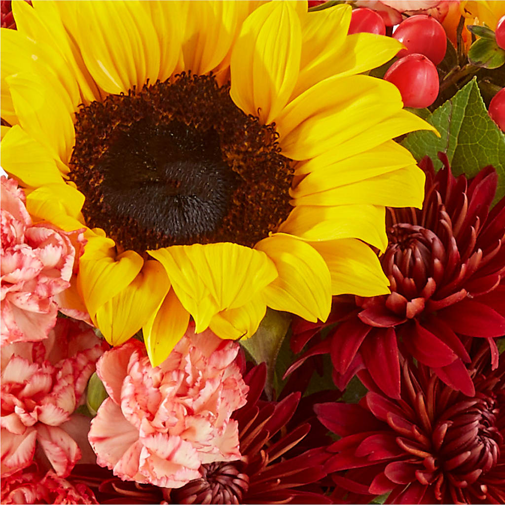 Fresh Cider Bouquet –  Daily Bloom, San Antonio TX