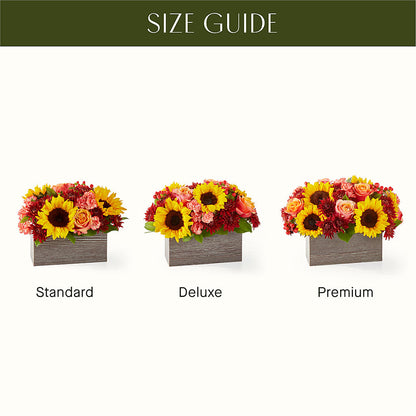 Fresh Cider Bouquet –  Daily Bloom, San Antonio TX